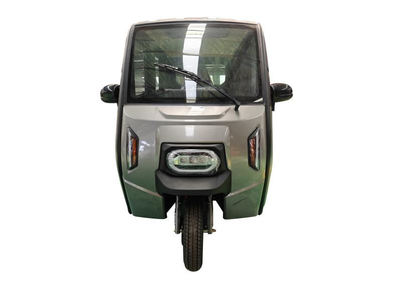 China Top  Electric Tricycle Fully Enclosed Trike Passenger Tricycle for Family Use（DK12) Manufacturer, Manufacturers