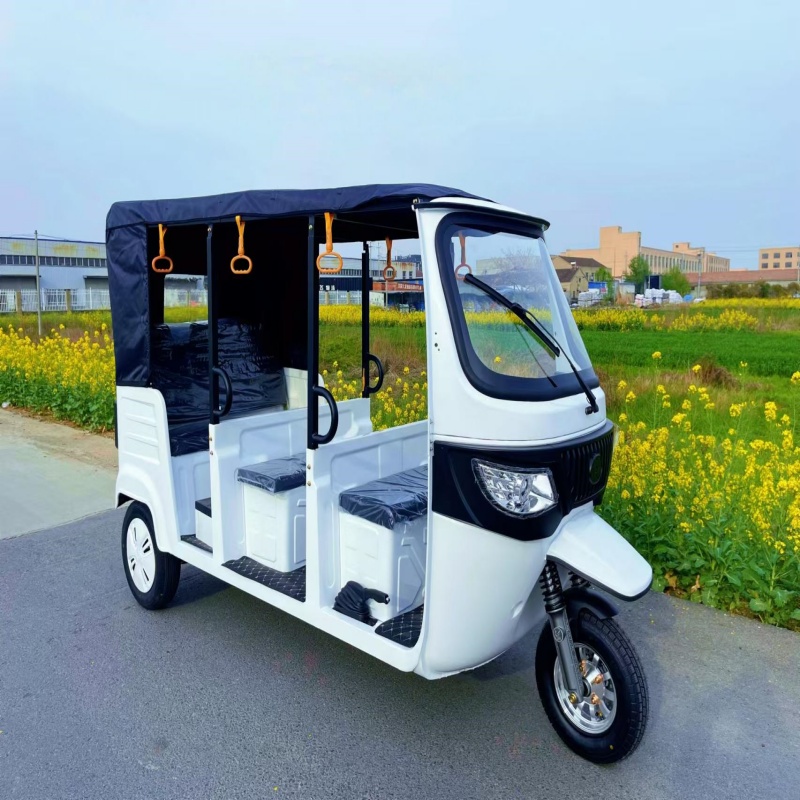 Global Leading Electric  Passenger Tricycle 9 Seater Tuk Tuk 3 Wheel Motorcycle (S3 - Iron Frame) Manufacturer, Supplier