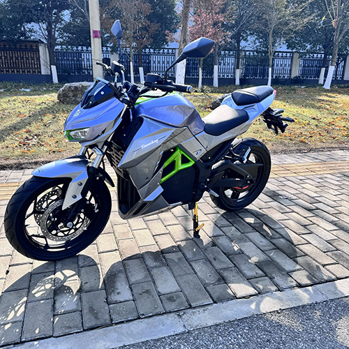 China Best Two-wheeled Electric Bike :Model: Constrictor Supplier, Suppliers