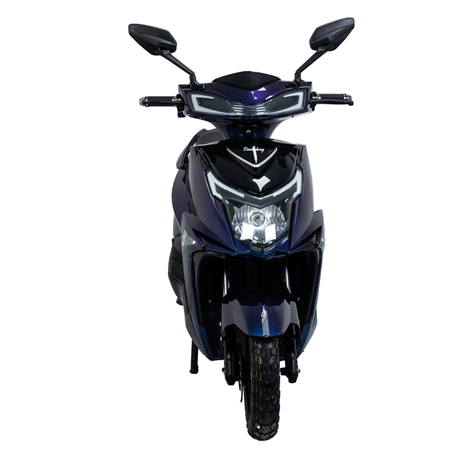 China Wholesale Two-wheeled Electric Bike :Model: ZS Manufacturer, Manufacturers