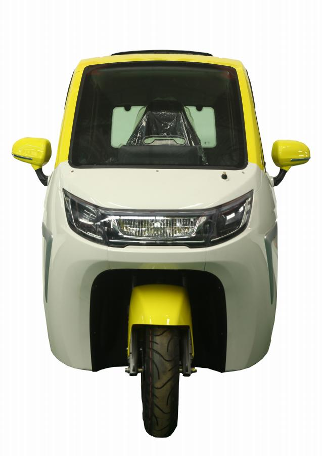 China Top Electric Tricycle Fully Enclosed Trike Passenger Tricycle for Family Use（NG-D06) Manufacturer, Manufacturers