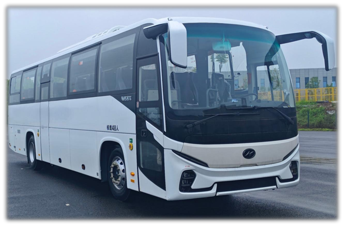 High-Quality Electric Sightseeing Bus  New Design Luxury Car & Bus Collection   (V11E) Manufacturer, Manufacturers