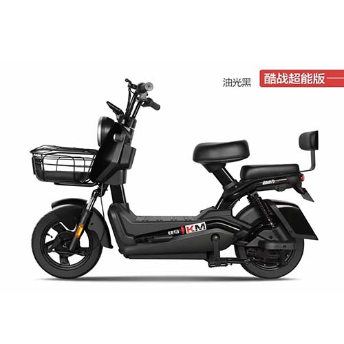 China Two-wheeled Electric Bike :Model: Cool Battle Manufacturers, Supplier