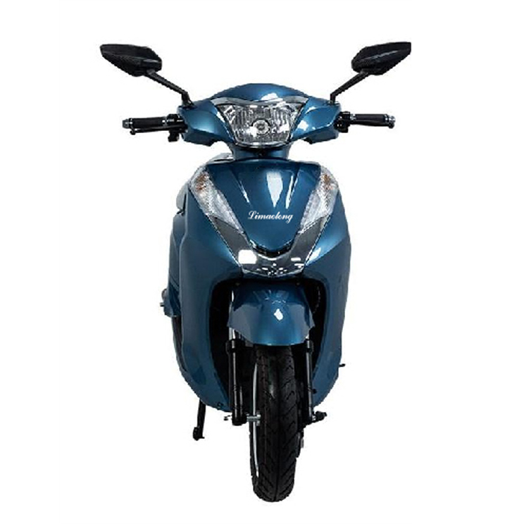 Best Two-wheeled Electric Bike :Model: Cshen Manufacturers, Supplier