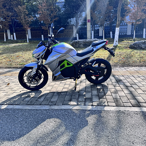 China Best Two-wheeled Electric Bike :Model: Constrictor Supplier, Suppliers