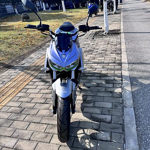 China Best Two-wheeled Electric Bike :Model: Constrictor Supplier, Suppliers
