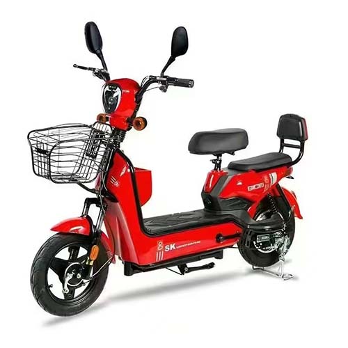 China Best Two-wheeled Electric Bike :Model: Gold Egle Manufacturers, Suppliers