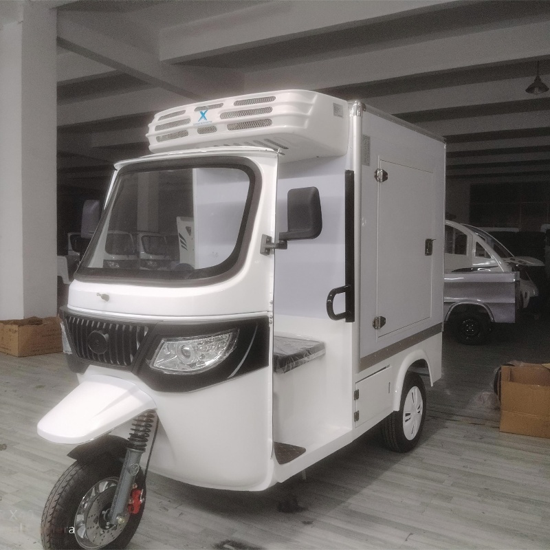 China High-Quality Electric Tricyle Car Freezer Box for Cold Chain Delivery Manufacturer, Manufacturers