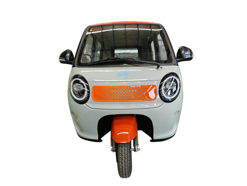 China Wholesale   Electric Tricycle Fully Enclosed Trike Passenger Tricycle for Family Use（DK08) Supplier, Suppliers