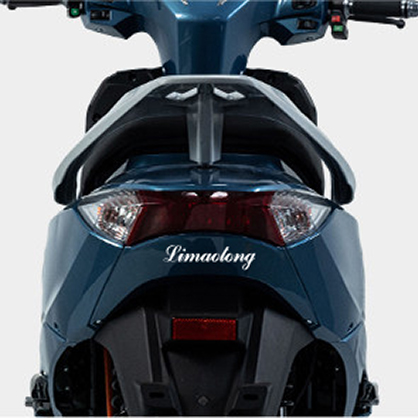 Best Two-wheeled Electric Bike :Model: Cshen Manufacturers, Supplier