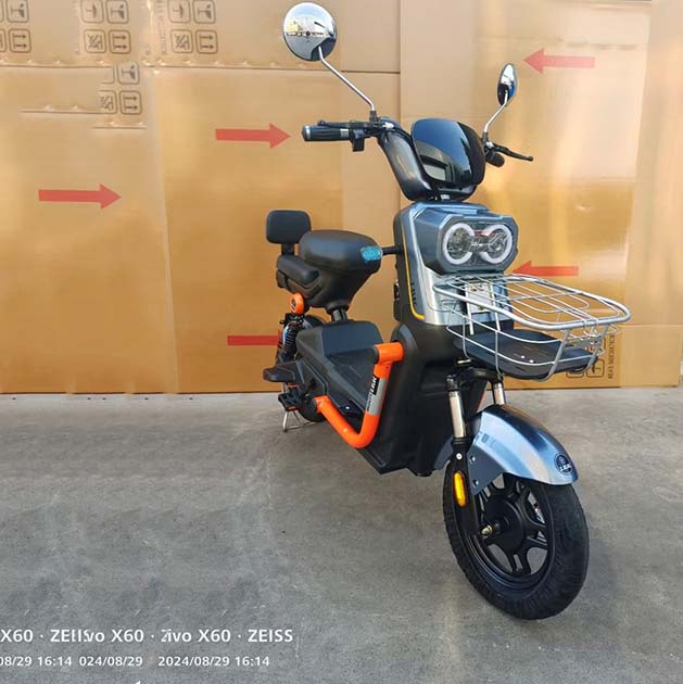 Global Leading Two-wheeled Electric Bike :Model:Demon King Supplier, Suppliers