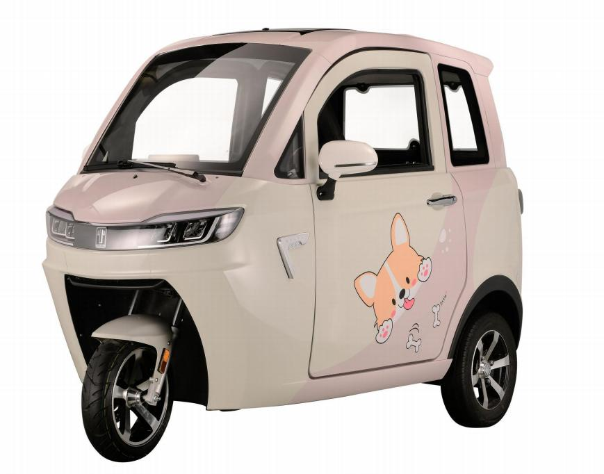 Global Leading  Electric Tricycle Fully Enclosed Trike Passenger Tricycle for Family Use（CJ-DK13) Manufacturers, Supplier