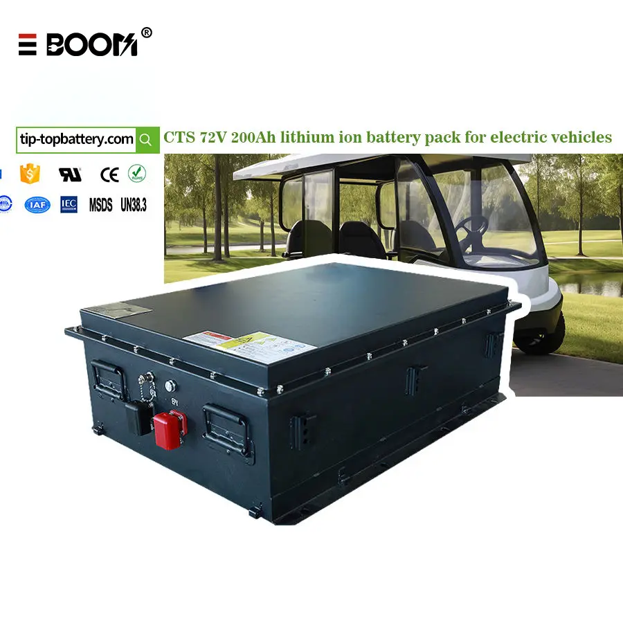 China Custom LiFePO4 Battery Pack for Electric Vehicles, Golf Carts - China Suppliers & Factory, 8000+ Cycles Supplier, Factory