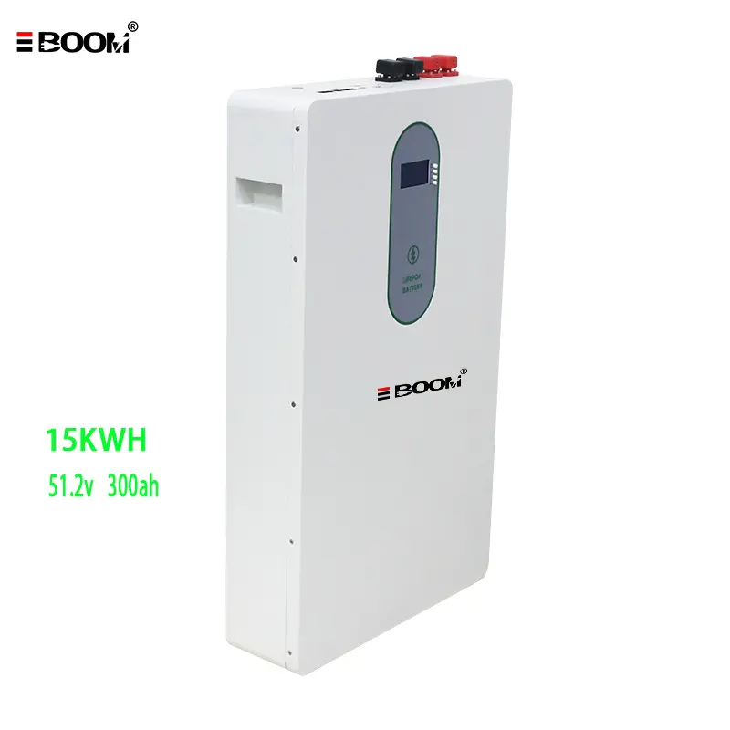 High-Quality Wall Mount Lithium Iron Phosphate Battery 51.2V 100Ah Built-in BMS Bluetooth WiFi Monitoring Home Office Off-Grid Energy Storage Battery Pack Manufacturers, Suppliers