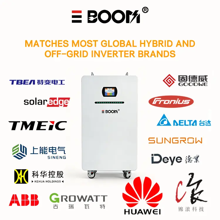 OEM 51.2V 300Ah LiFePO4 Battery 15kWh 8000+ Cycles Grade A 10Y Manufacturers, Factory