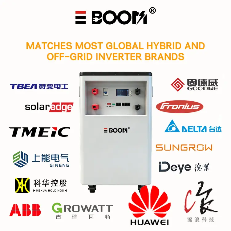 China 51.2V 600Ah LiFePO4 Battery  30kWh Grade A 8000 Cycles 10Y Warranty Manufacturers, Factory