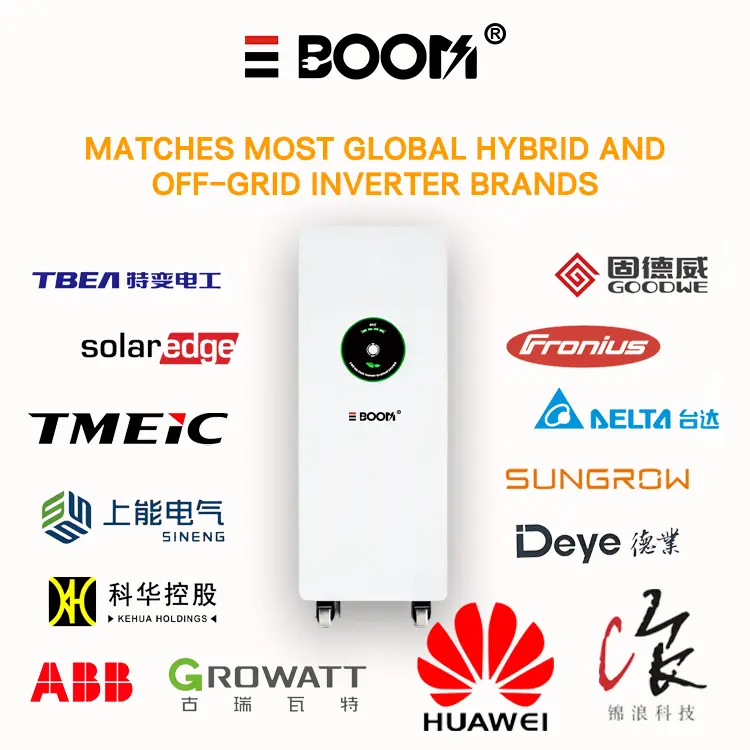 China 51.2V 200Ah LiFePO4 Battery 10kWh - Compact Powerhouse from China Suppliers | High-Cycle Factory Solution Supplier, Factories