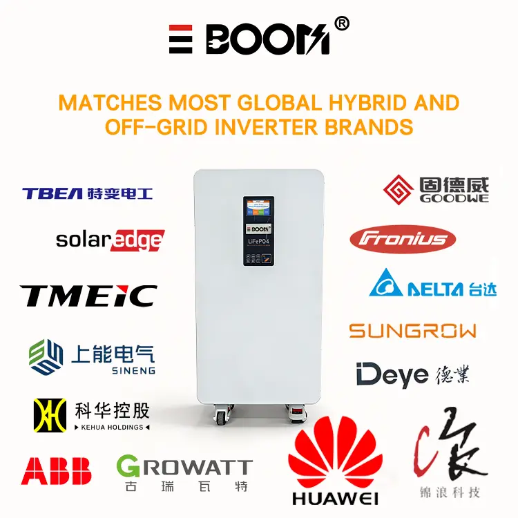 High-Quality Grade A 51.2V 200Ah 300Ah LiFePO4 Battery  15kWh 8000 Cycles 10Y Manufacturers, Suppliers