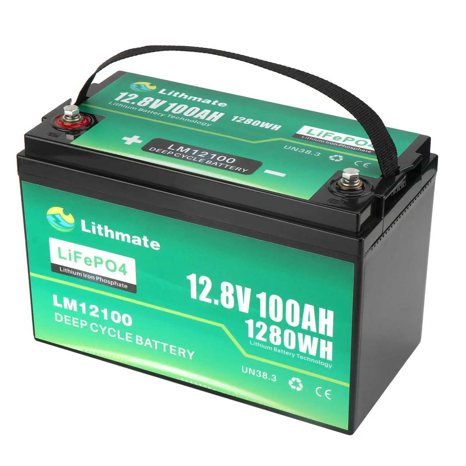 OEM LiFePO4 12V 100Ah Lithium Battery Suppliers, Companies