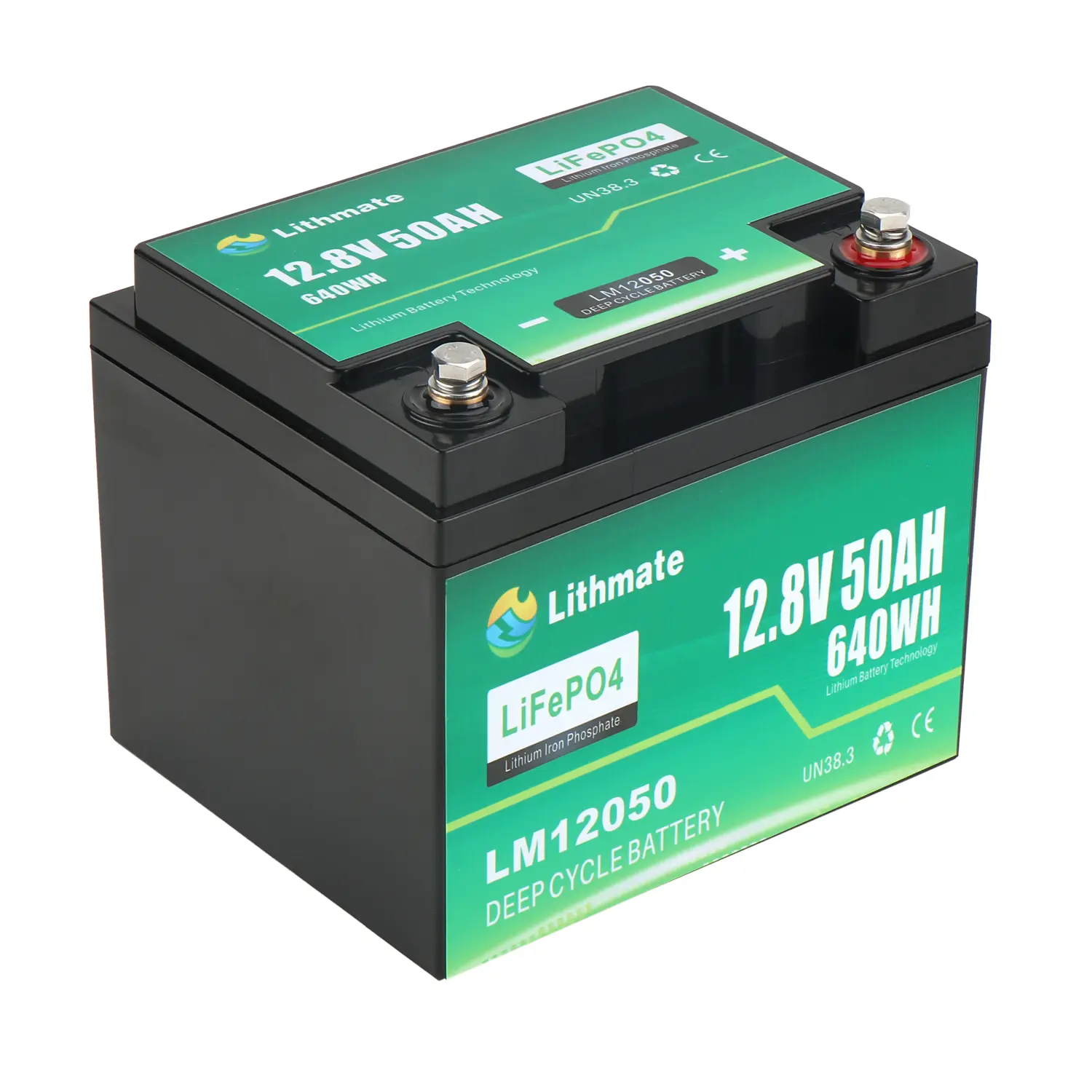 OEM 12V 50Ah Lithium LiFePO4 Battery Factories, Companies