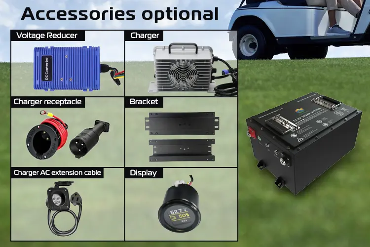 OEM Golf Cart Battery Charger 48V 18A 25A Manufacturer, Supplier