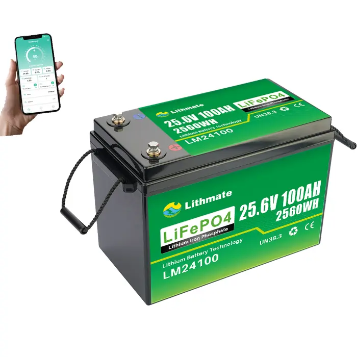 High-Quality Deep Cycle Lithium Battery 24V 100Ah Supplier, Suppliers