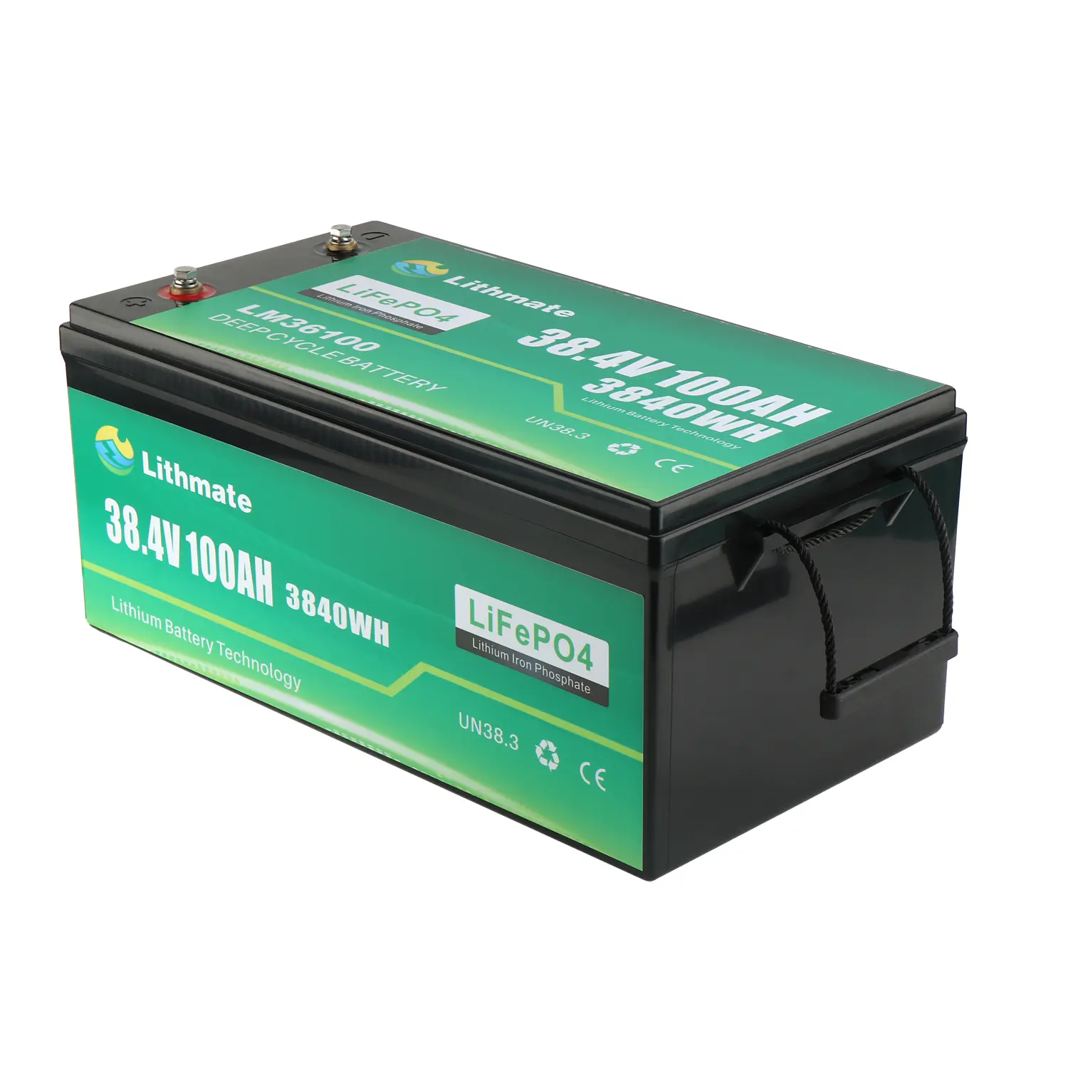 OEM 36V 100Ah Lithium Battery for Boat Factory, Companies
