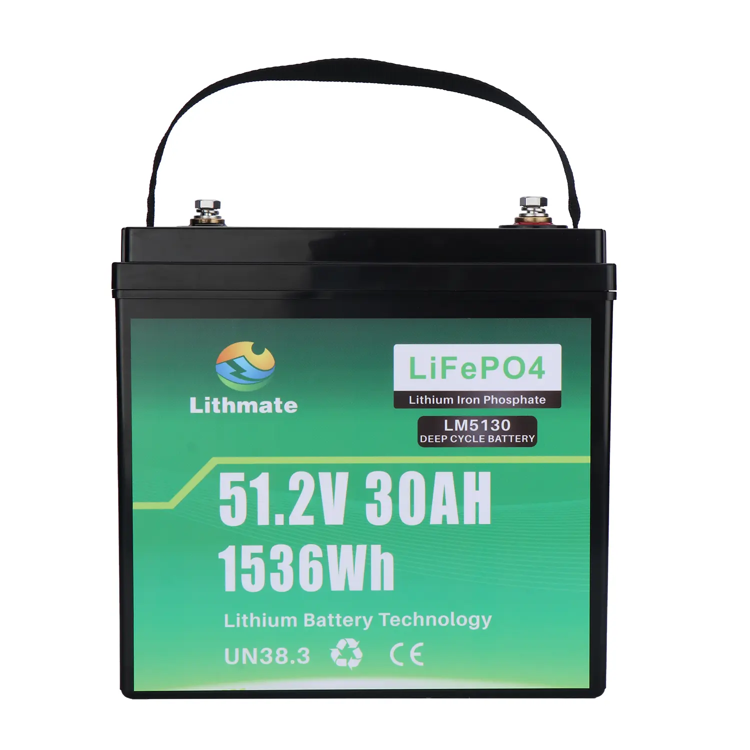OEM 51.2V 30Ah lithium lifepo4 battery Manufacturer, Factory