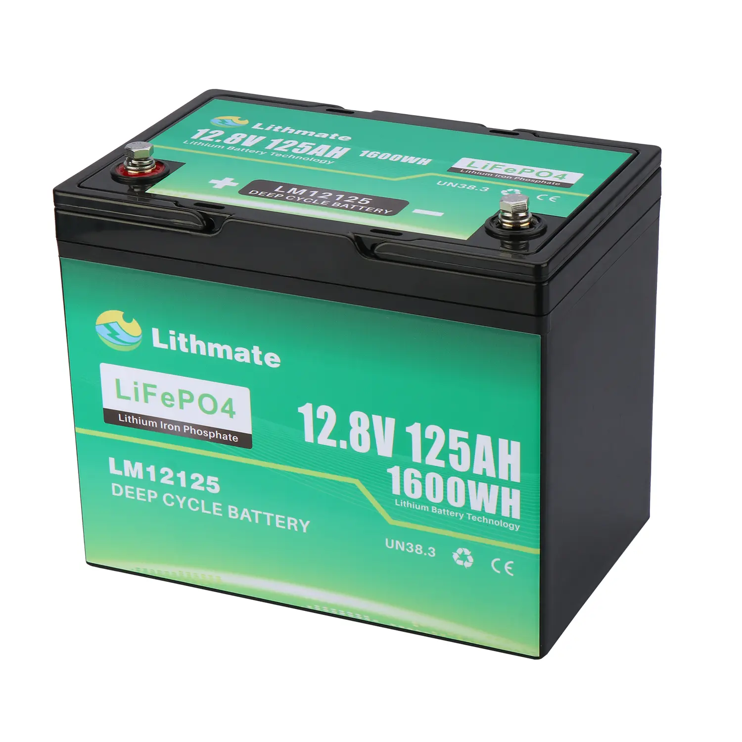 Custom LiFePO4 12V 125Ah Lithium Ion Battery Manufacturers, Supplier