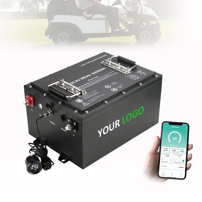 OEM Mobility Car 48V 105Ah Electric Vehicle Battery Factory, Company