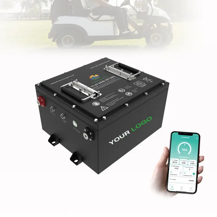 High-Quality LiFePO4 51.2V 60Ah Lithium Golf Cart Battery Manufacturer, Manufacturers
