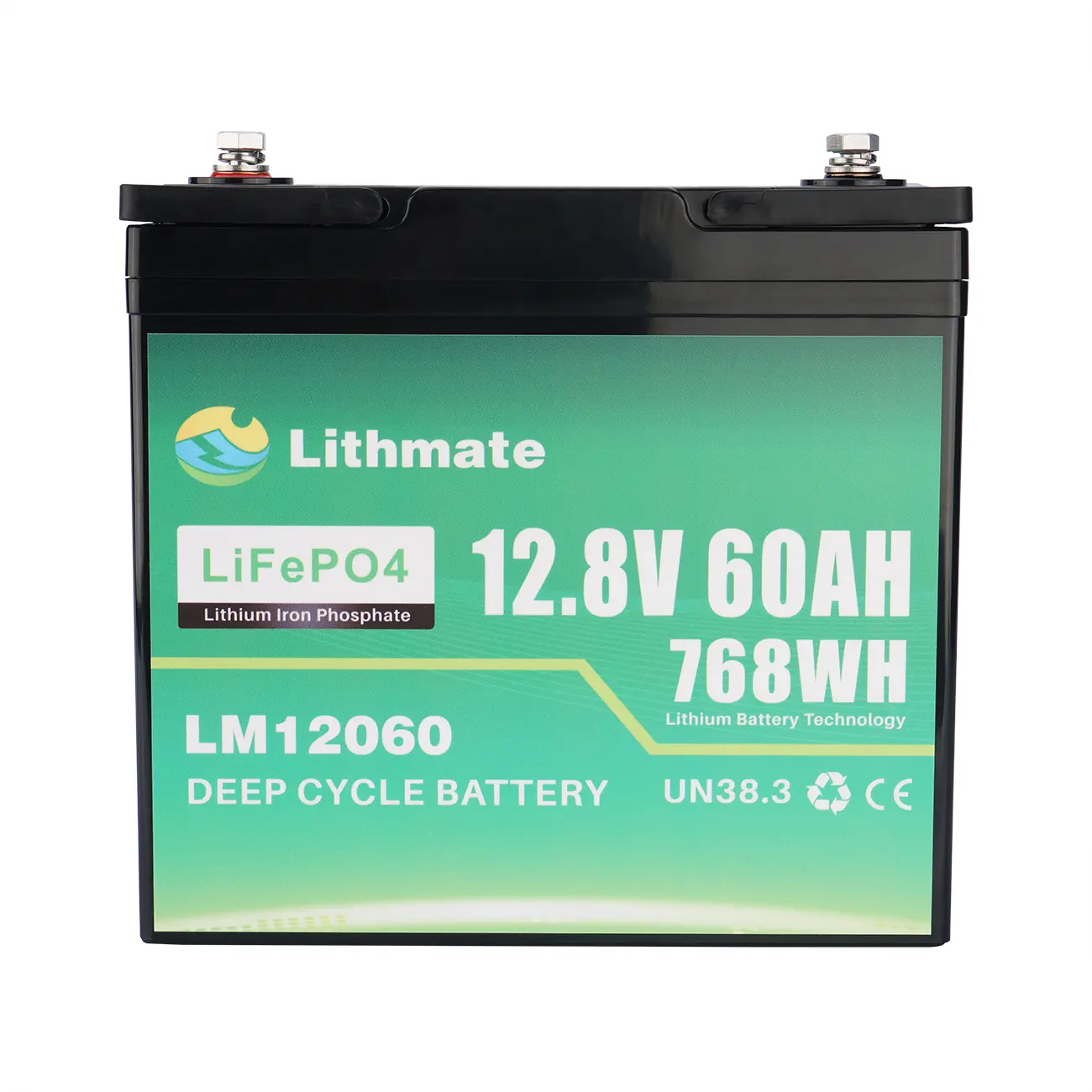 Custom Lithium 12V 60AH Deep Cycle Marine Battery Manufacturer, Suppliers
