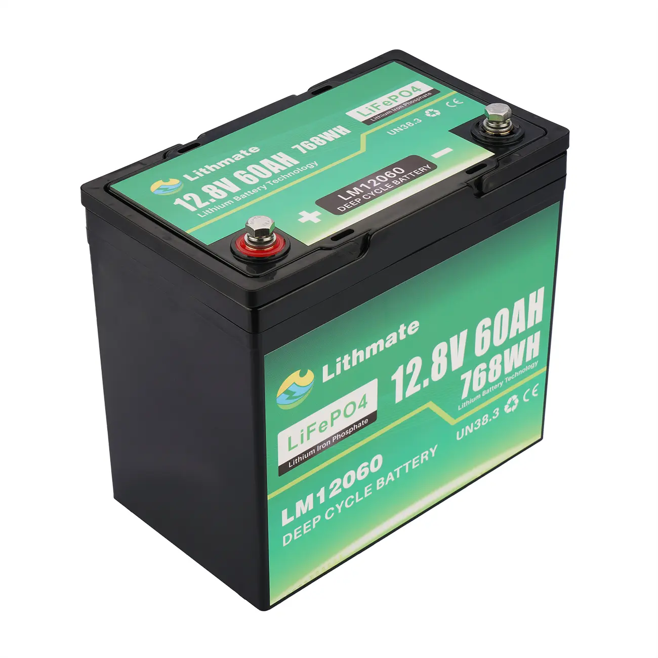 Custom Lithium 12V 60AH Deep Cycle Marine Battery Manufacturer, Suppliers