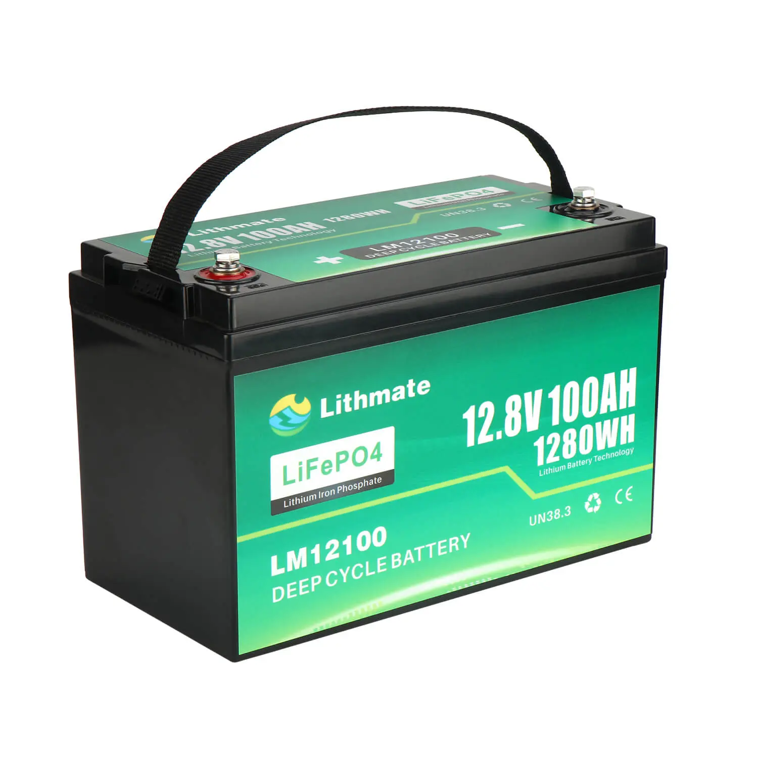 OEM LiFePO4 12V 100Ah Lithium Battery Suppliers, Companies