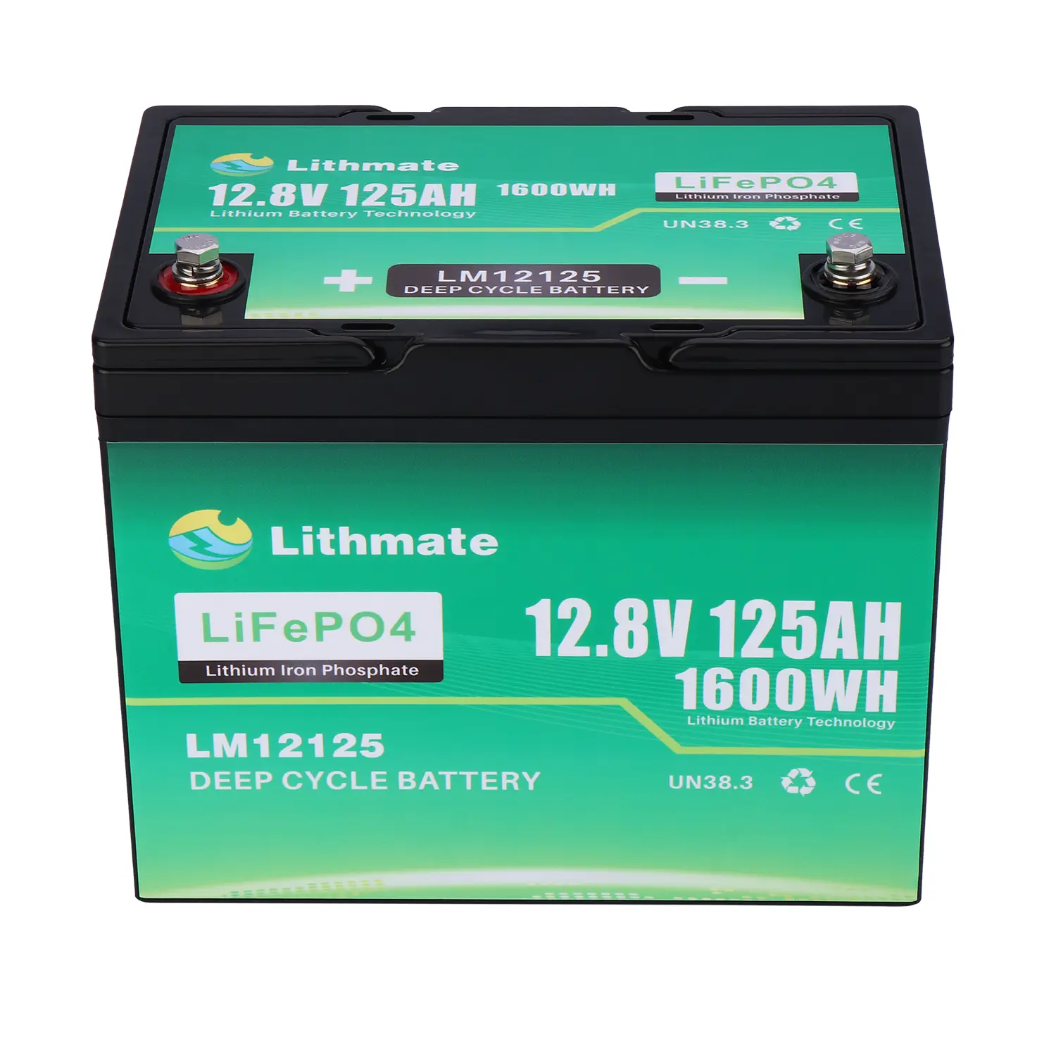 Custom LiFePO4 12V 125Ah Lithium Ion Battery Manufacturers, Supplier