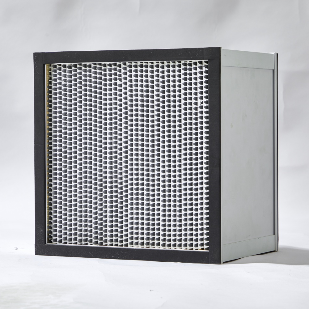 Deep pleated HEPA filter interior