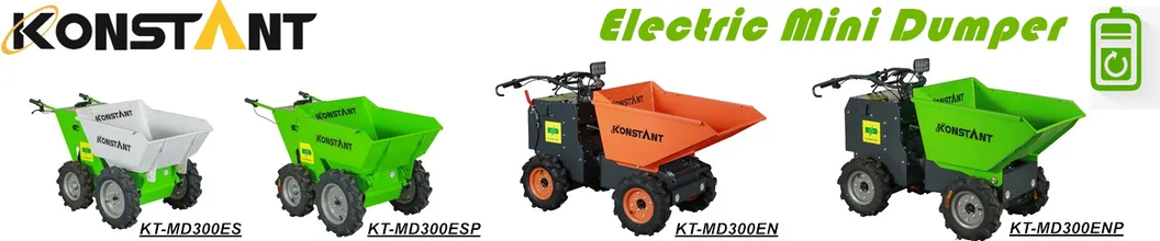 Electric Dumper