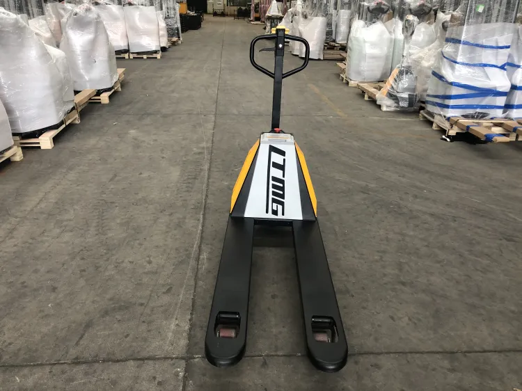 Pallet Truck View 1