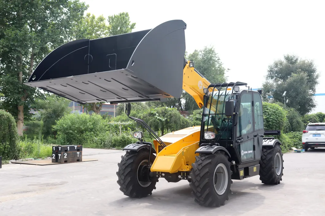 Telehandler View 5