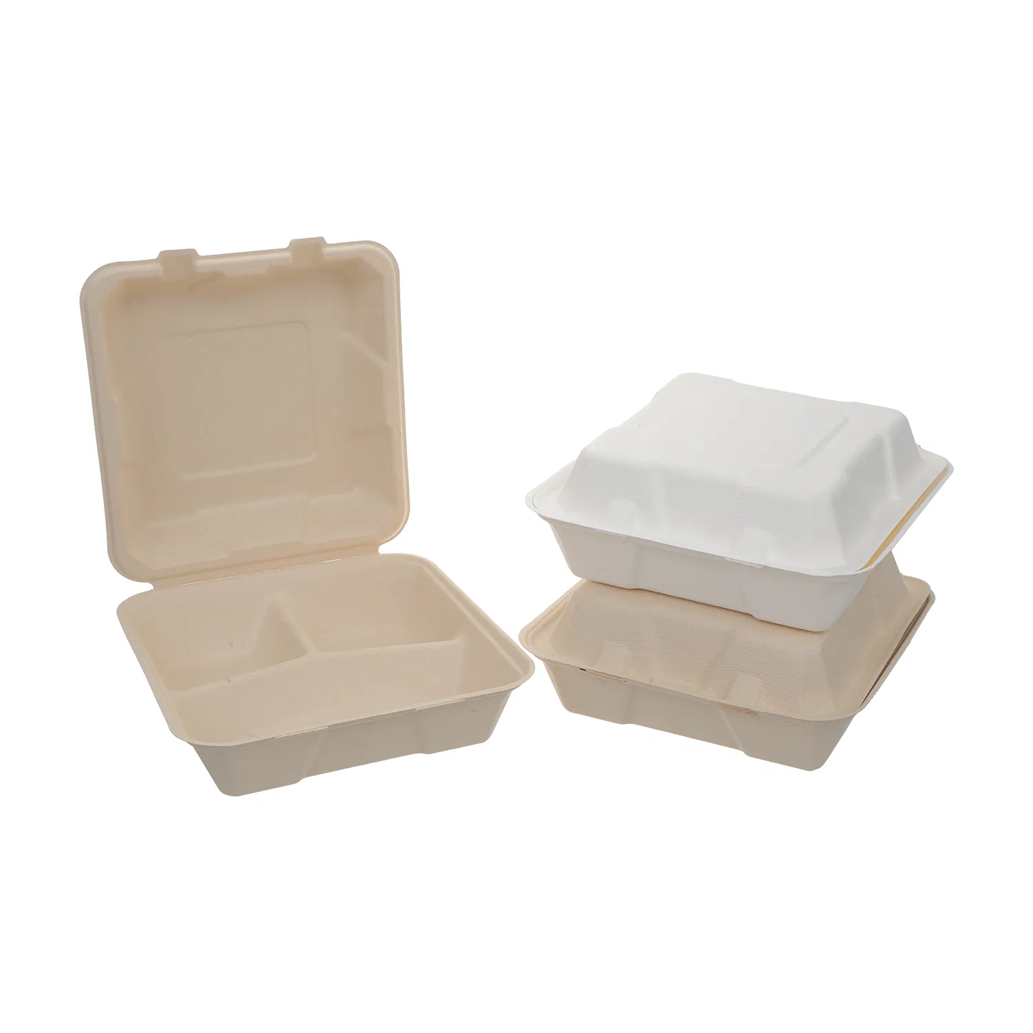 Biodegradable Compartment Lunch Box for Sustainable Food Storage