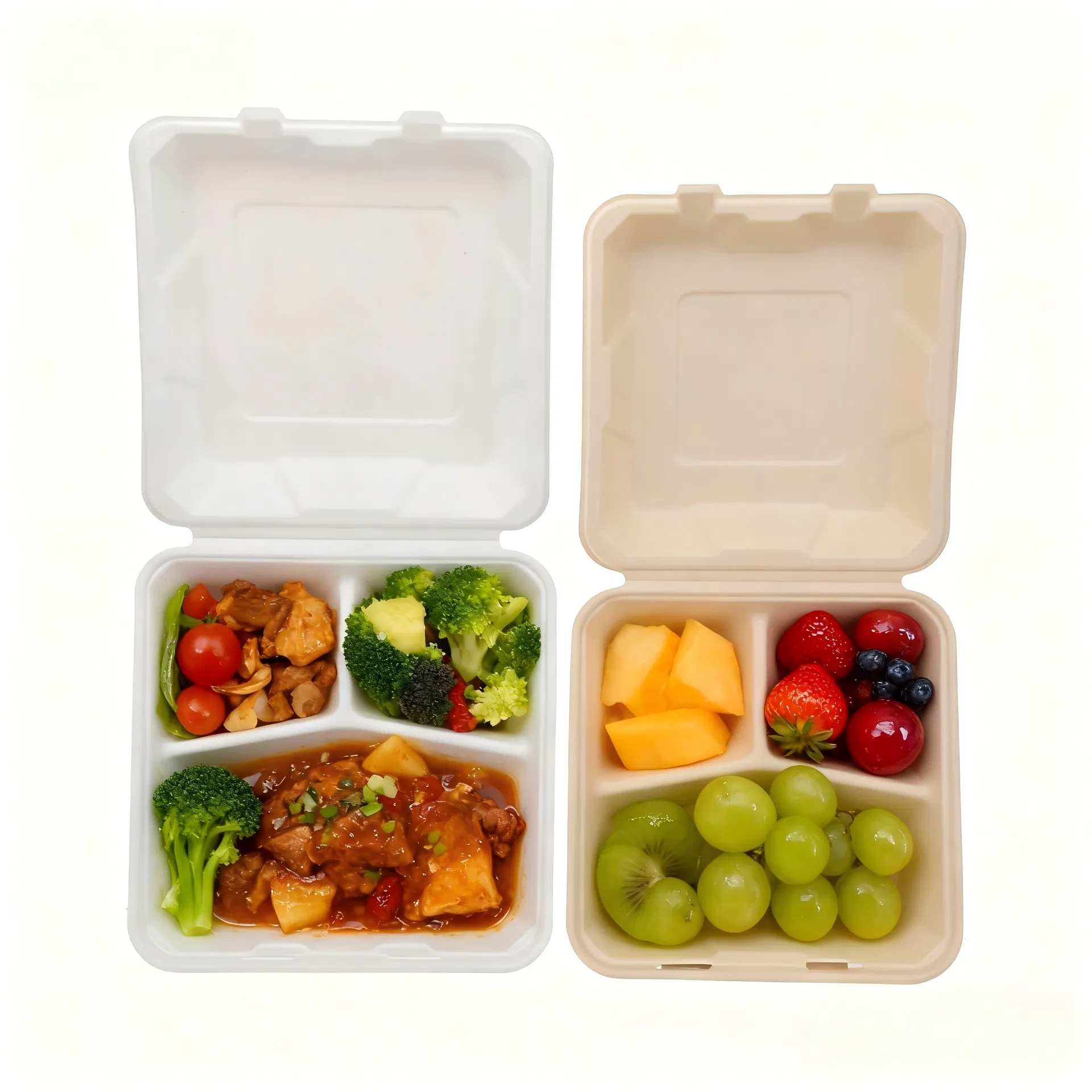 Biodegradable Lunch Box View 3