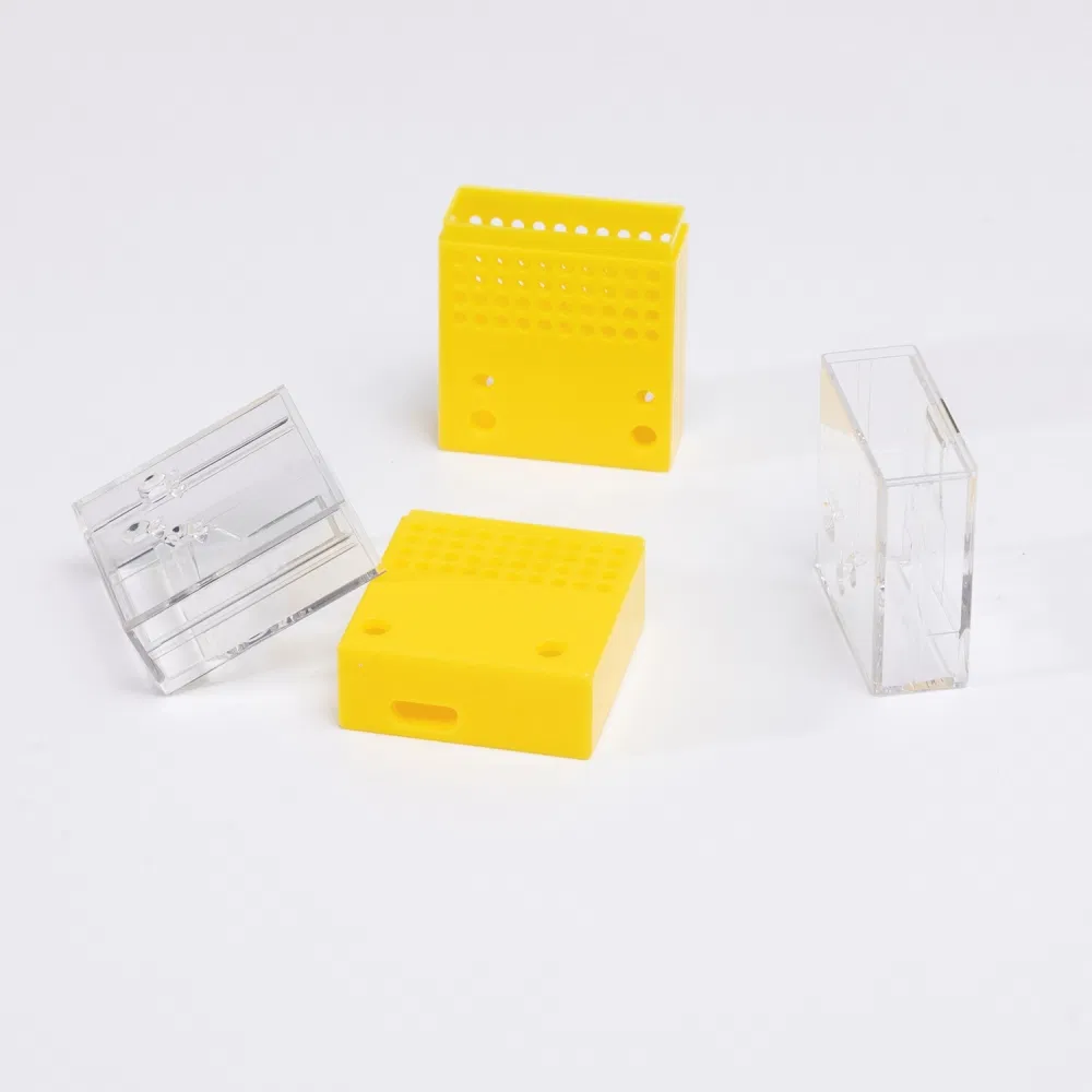 Medical Solution Photo 2