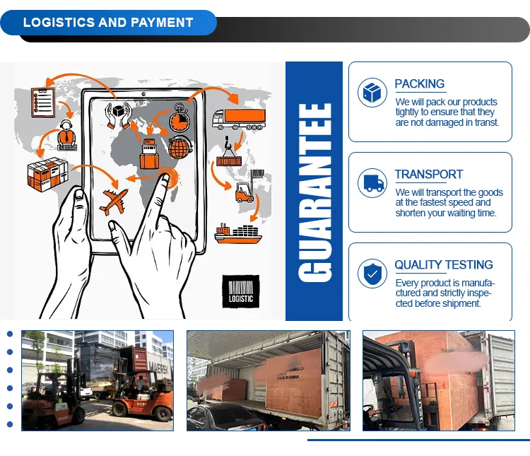 Playground Installation View