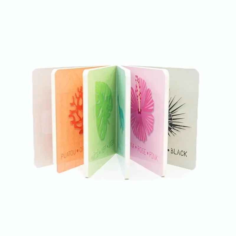 Thick Cardboard Books