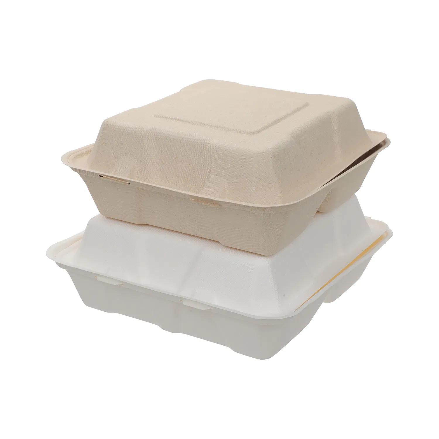 Biodegradable Lunch Box View 2