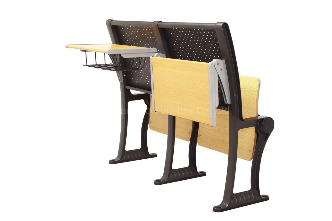 University Lecture Hall Set