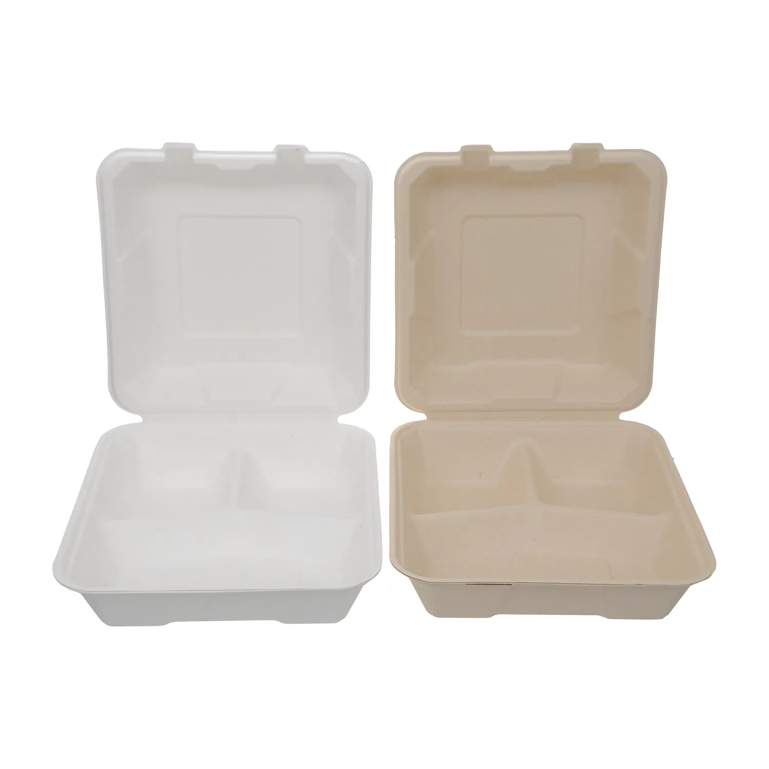 Biodegradable Compartment Lunch Box for Sustainable Food Storage
