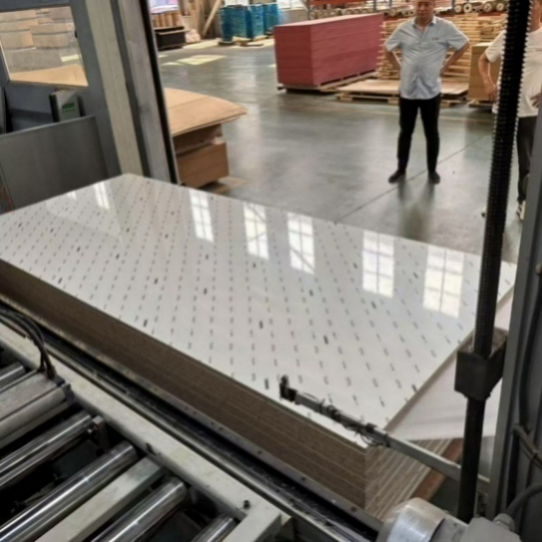 Recyclable Pet Surface Particle Board for Sustainable Furniture