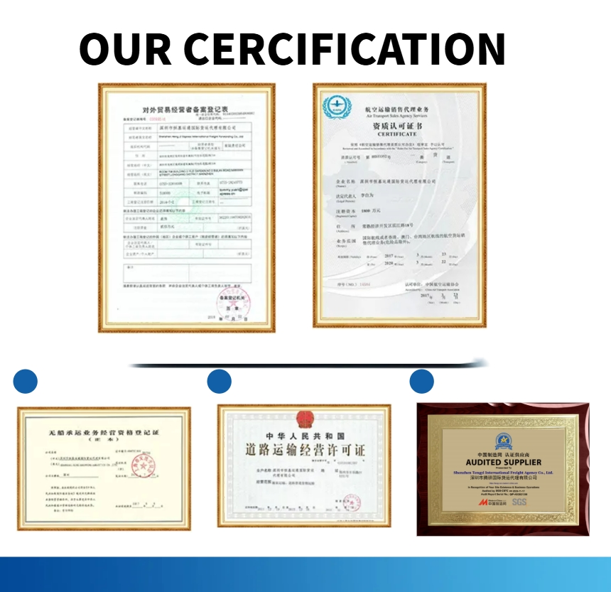 International Container DDP Sea Freight Shipping Agent From China to Slovenia