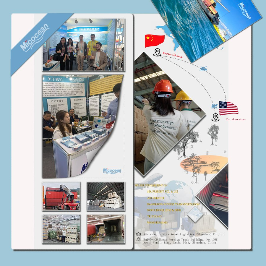 Professional Sea Freight Forwarder Shipping From China Shanghai/Guangzhou/Shenzhen/Ningbo to Africa, Middle East, Asia, South America